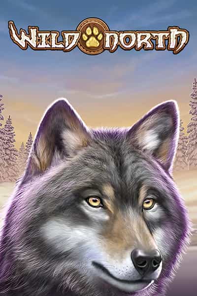 Wild North